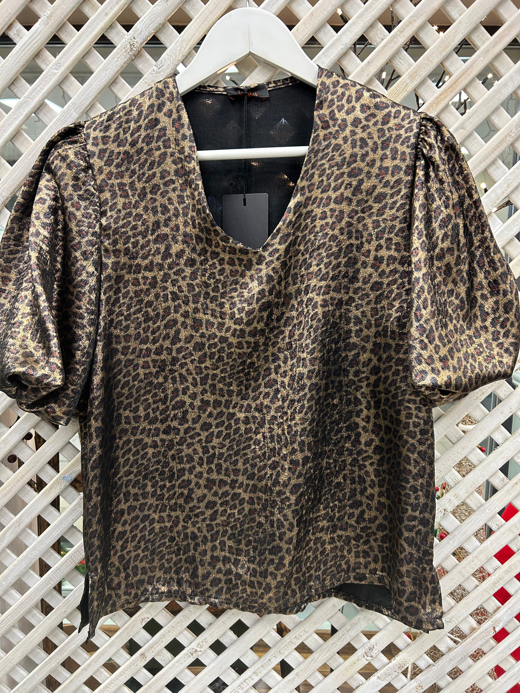 Kyla Leopard top
